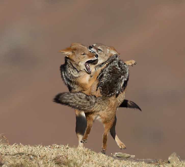 20130611-_A3T1999-Edit