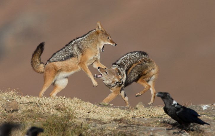 20130611-_A3T2003-Edit