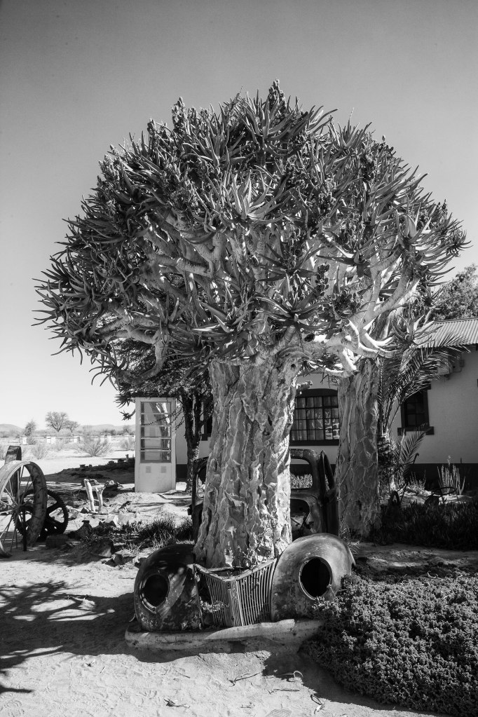 _A3T4828-2-Edit-Edit-2