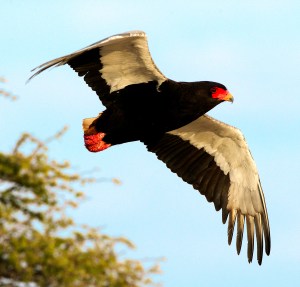 CNP SELECTION (2 of 14)