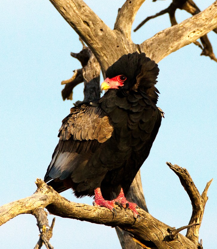 CNP SELECTION (4 of 14)