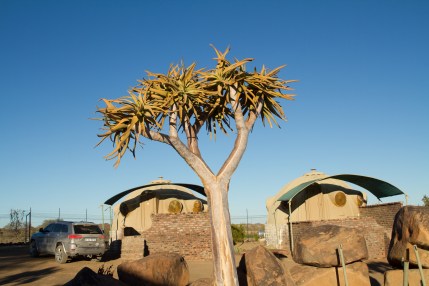 An Igloo and a koker boom