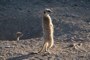 Project_20150618_0123